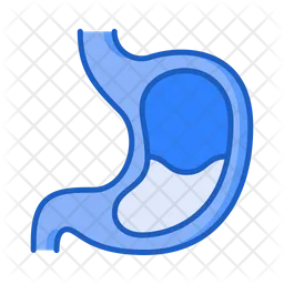 Stomach  Icon