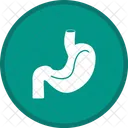 Stomach Healthcare Medical Icon