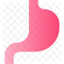 Stomach Organ Anatomy Icon