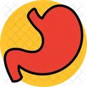 Stomach Healthcare Digestion Icon