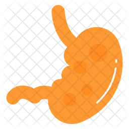 Stomach  Icon