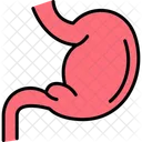 Stomach Digestion Digestive Icon