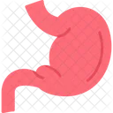 Stomach Digestion Digestive Icon