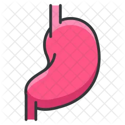 Stomach  Icon