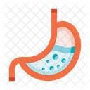 Anatomy Stomach Digestion Icon