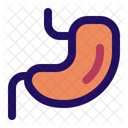 Stomach Icon