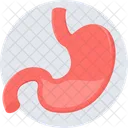 Stomach Organ Human Icon