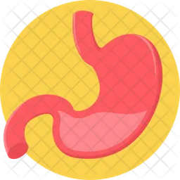 Stomach  Icon