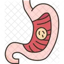 Stomach Cancer Gastric Icon