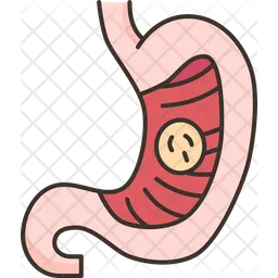 Stomach  Icon