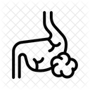 Stomach Cancer Disease Digestive アイコン