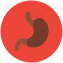 Stomach  Icon