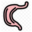Stomach Anatomy Organ Icon
