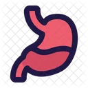 Stomach Body Organ Anatomy Icon