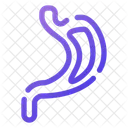 Stomach  Icon
