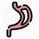 Stomach  Icon
