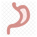 Stomach  Icon