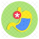 Stomach Digestion Human Organ Icon