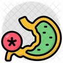 Stomach Digestion Human Organ Icon