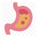 Stomach Digestive Organ Icon