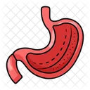 Gastric Digestive Organ Digestion Icon