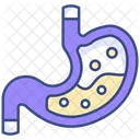 Stomach Icon