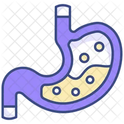 Stomach  Icon