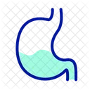 Stomach Health Organ Icon