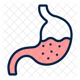 Stomach  Icon