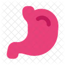 Stomach Organ Anatomy Icon