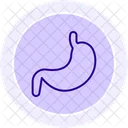 Stomach  Icon