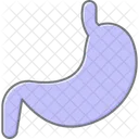 Stomach Lineal Color Icon Icon