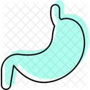 Stomach Color Shadow Thinline Icon Icon