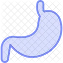 Stomach Duotone Line Icon Icon