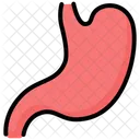 Stomach Anatomy Digest Icon