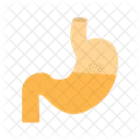 Stomach Bodypart Anatomy Icon