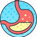 Stomach Digest Abdomen Icon