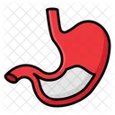 Stomach  Icon
