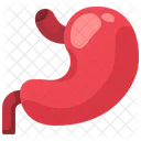 Stomach Organ Body Part Icône