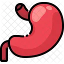 Stomach Organ Body Part Icône