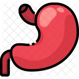 Stomach  Icon