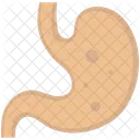 Stomach  Icône