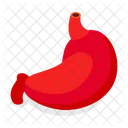 Stomach  Icon