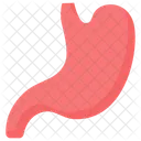 Stomach Anatomy Digest Icône