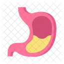 Stomach Digestion Organ Icon