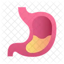 Stomach  Icon