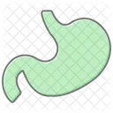 Stomach Awesome Lineal Color Icon 아이콘