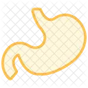 Stomach Color Outline Icon 아이콘