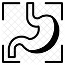 Scan Icon Icon