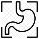 Scan Icon